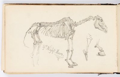 Página do Sketchbook: Ye Night Mare de Kenyon Cox