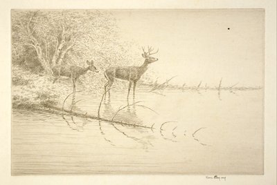  de Kerr Eby