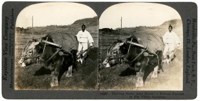 Cultivo perto de Seul, Coréia do Sul, anos 1900. de Keystone View Company