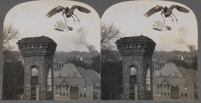 Nos tempos antigos, se as pessoas fossem boas, a cegonha traria um bebê doce e justo, 1907. de Keystone View Company