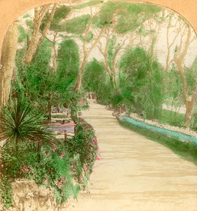 Passeio, jardim de Alameda, rocha de Gibraltar, 1896. de Keystone View Company