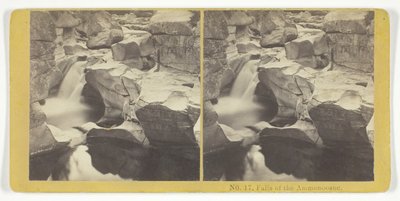 Quedas do Ammonoosuc, 185575. Criadores: Irmãos Kilburn, BW Kilburn. de Kilburn Brothers, BW Kilburn