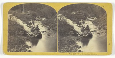 The Babbling Brook, 185575. Criadores: Kilburn Brothers, BW Kilburn. de Kilburn Brothers, BW Kilburn
