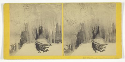 Truta, 185575. Criadores: Irmãos Kilburn, BW Kilburn. de Kilburn Brothers, BW Kilburn