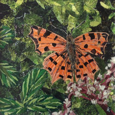 Flutter - Comma Butterfly On Japonica de Kirstie Adamson