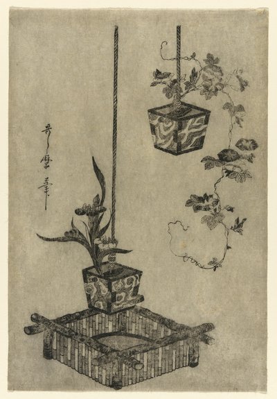 Arranjos de íris e glórias da manhã de Kitagawa Utamaro