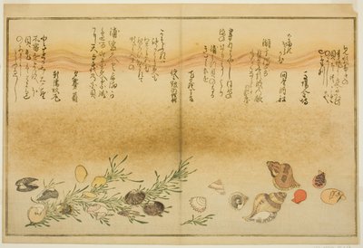 Tem Benny, tem horror, tem urayu-gai, tem-gai, Chiyo-no-hana-gai, tem Masho, das brácteas latte de te i de Kitagawa Utamaro