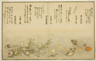 Há Benny, há horror, há urayu-gai, wet-gai, Chiyo-no-hana-gai, plano d Masho, das brácteas estratificadas de T de de Kitagawa Utamaro