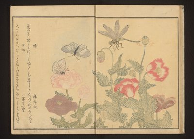 Borboletas e libélulas perto de papoilas de Kitagawa Utamaro