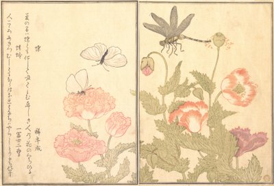 Butterfly Cho, Dragonfly Kagero ou Tonbo, 1788. de Kitagawa Utamaro