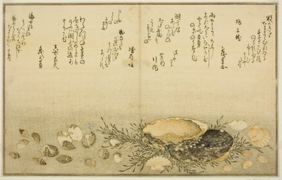 Chidori - fora, dor - fora, abalone, mova - fora, amêijoas - fora, há uma idéia para Allah, das brácteas latte de de Kitagawa Utamaro