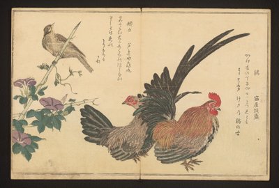 Galo e bunting de Kitagawa Utamaro