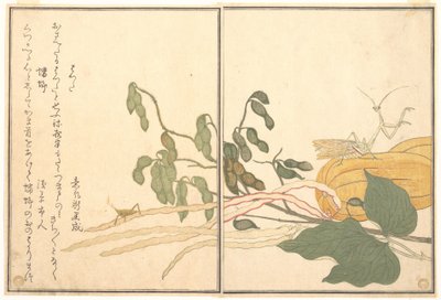 Gafanhoto de cabeça cónica ou locusta (batta); louva-a-deus (Tōrō ou Kamakiri), do Livro ilustrado de criaturas rastejantes (Ehon mushi erami) de Kitagawa Utamaro