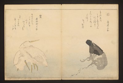 Cormorante e garça de Kitagawa Utamaro