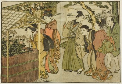 Exibição de Crisântemos, do livro ilustrado "Livro de Imagens: Flores das Quatro Estações (Ehon shiki no hana)", vol. 2 de Kitagawa Utamaro