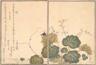 Minhoca Mimizu, Cricket Korogi..., 1788. de Kitagawa Utamaro