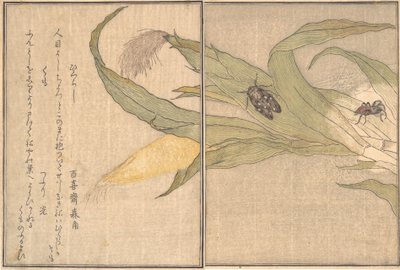 Imagem Ve pessoas g Dental, Higurashi, S dia r, Nuvens. .. .. , 1788. de Kitagawa Utamaro