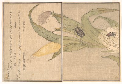  de Kitagawa Utamaro