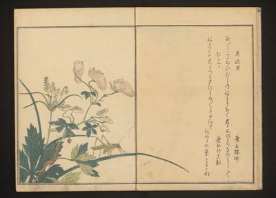 Gafanhoto e centopeia sobre planta de aconite de Kitagawa Utamaro