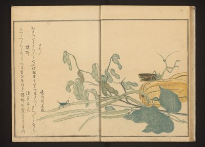 Gafanhoto no feijão e louva-a-deus no melão de Kitagawa Utamaro