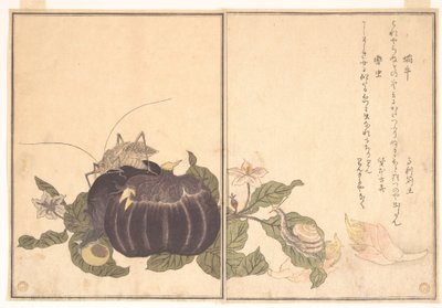  de Kitagawa Utamaro