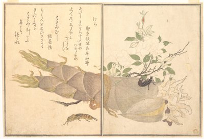 Grilo-toupeira (Kera); tesourinha (Hasami-mushi), do Livro ilustrado de criaturas rastejantes (Ehon mushi erami) de Kitagawa Utamaro