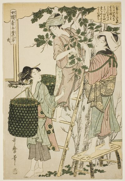 Nº 2 (ni), da série "Mulheres engajadas na indústria da sericultura (Joshoku kaiko tewaza-gusa)" de Kitagawa Utamaro