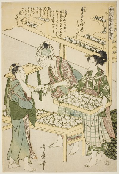 Nº 6 (roku), da série "Mulheres engajadas na indústria da sericultura (Joshoku kaiko tewaza-gusa)" de Kitagawa Utamaro