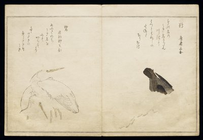 P.332-1946 Vol.1 f.4 Cormorão à direita e duas garças nevadas à esquerda, de um álbum &39;Aves comparadas em Canções Cómicas&39;, 1791 (impressão em xilogravura a cores) de Kitagawa Utamaro