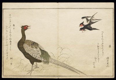 P.332-1946 Vol.1 f.6 Par de Chimney Swallows e um Green Pheasant, do álbum &39;Birds comparison in Humorous Songs&39;, 1791 (impressão em xilogravura a cores) de Kitagawa Utamaro