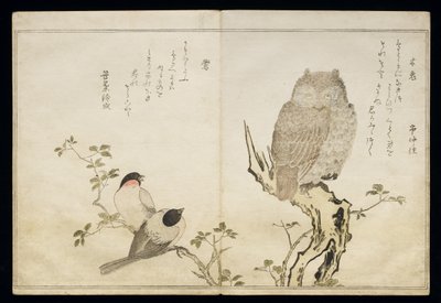 P.332-1946 Vol.2 f.4 Uma coruja e dois Bullfinches orientais, de um álbum &39;Pássaros comparados em canções cômicas&39;, 1791 (impressão xilogravura colorida) de Kitagawa Utamaro