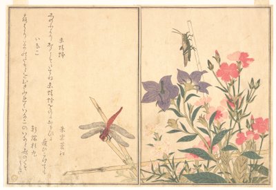 Libélula Vermelha (Akatonbo); Gafanhoto (Inago), do livro ilustrado «Criaturas Rastejantes» (Ehon mushi erami) de Kitagawa Utamaro