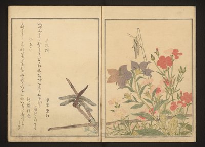 Libélula vermelha e gafanhoto por roscas de Kitagawa Utamaro