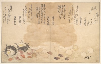 Conchas debaixo de água de Kitagawa Utamaro