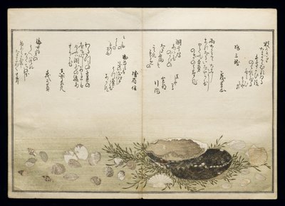 Shiohi no tsuto (Presentes da Ebb Tide), conhecido como o livro Shell, 1789 (impressão em xilogravura a cores) de Kitagawa Utamaro