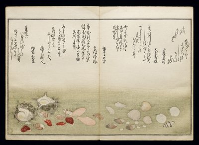 Shiohi no tsuto (Presentes da Ebb Tide), conhecido como o livro Shell, 1789 (impressão em xilogravura a cores) de Kitagawa Utamaro