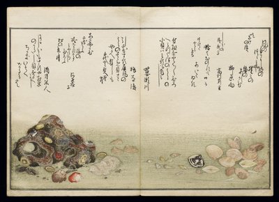 Shiohi no tsuto (Presentes da Ebb Tide), conhecido como o livro Shell, 1789 (impressão em xilogravura a cores) de Kitagawa Utamaro