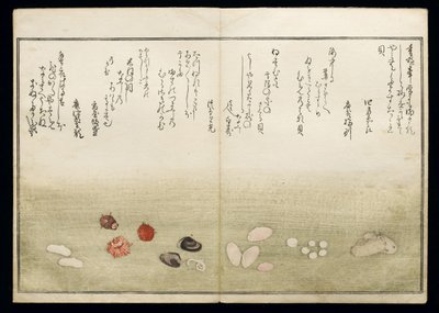 Shiohi no tsuto (Presentes da Ebb Tide), conhecido como o livro Shell, 1789 (impressão em xilogravura a cores) de Kitagawa Utamaro