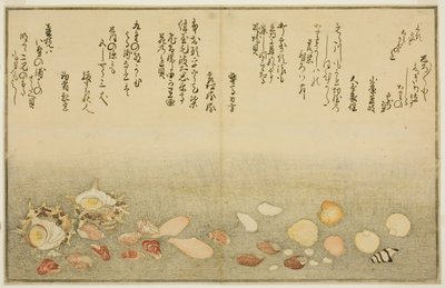 Branco-fora, rugas na superfície, Maclar Street, Yellow Street, Other Street, Sadaei, do tee st latte d livro k `` técnica fts do te eh b no chão (brácteas de maré) ” de Kitagawa Utamaro