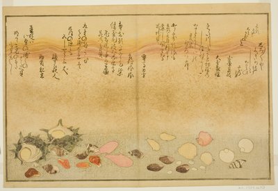 Branco por fora, rugas na superfície, Maclar Street, Yellow Street, Other Street, Sadaei, do tee st latte d book o k "Technique fts from tee eh b on the ground (brácteas of seawater) ” de Kitagawa Utamaro