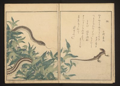 Cobra e lagarto por um arbusto de Kitagawa Utamaro