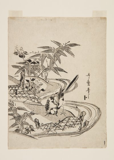 Sparrow (impressão em bloco de madeira a cores) de Kitagawa Utamaro