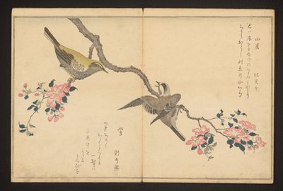 Toutinha e toutinegra de Kitagawa Utamaro