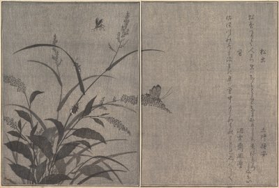 Matsumushi Tree cricket, Firefly Hotaru..., 1788. de Kitagawa Utamaro