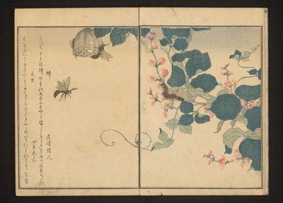 Vespas e lagarta peluda em araruta de Kitagawa Utamaro