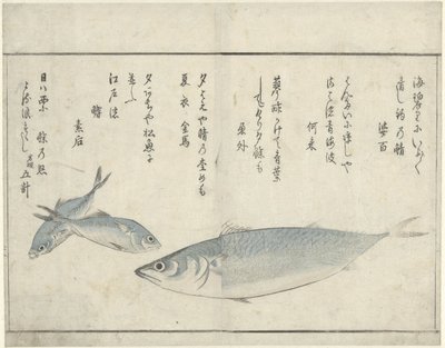 Três peixes de Kitao Masayoshi