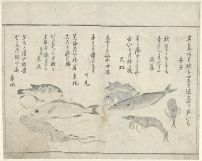 Zeedieren de Kitao Masayoshi