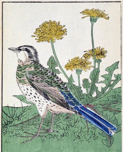 Bird. Desenho japonês de Kitao Kosuisai de Kitao Shigemasa