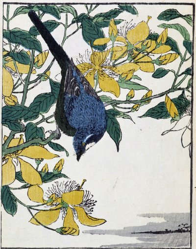 Um pássaro numa árvore. Desenho japonês de Kitao Kosuisai de Kitao Shigemasa