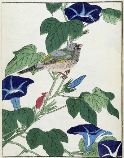 Um pássaro numa árvore. Desenho japonês de Kitao Kosuisai de Kitao Shigemasa